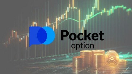 Pocket Option Reviews Bangladesh 4 Pocket Option Reviews Bangladesh 4