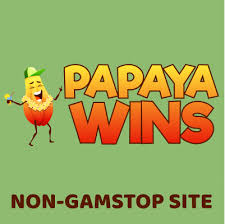Papaya Wins Casino Registration Process 21 Papaya Wins Casino Registration Process 21