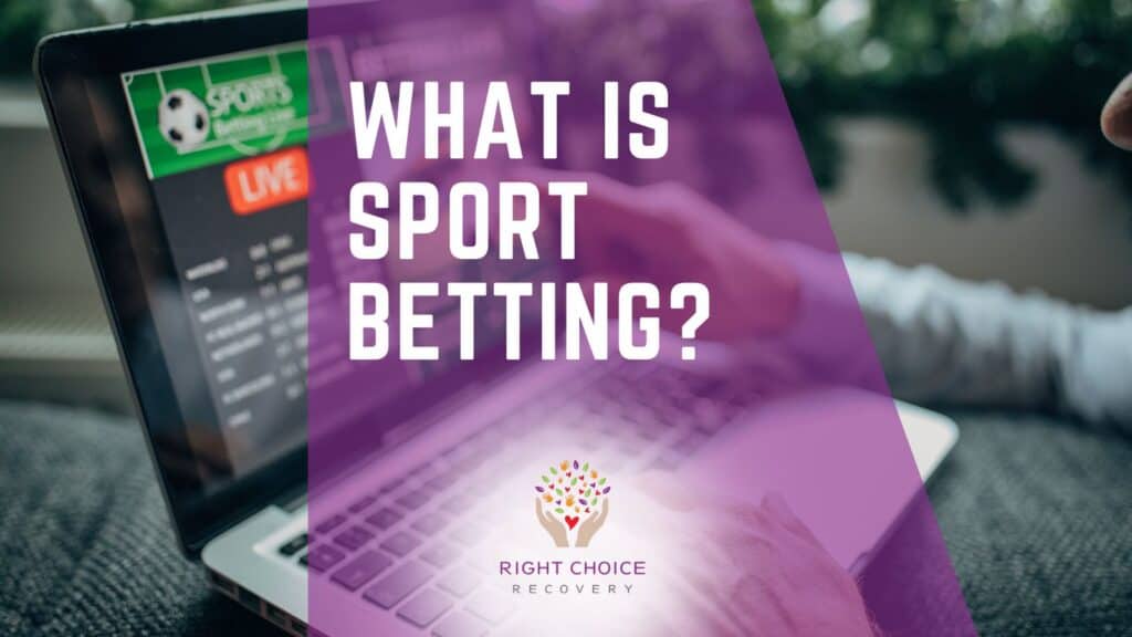 Exploring Bookies With Daily Prediction Challenges 44