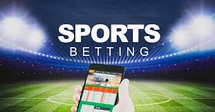 Exploring Gamblers’ VIP Loyalty Programs for Elite Players